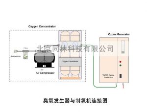 VMUS-DG臭氧发生器与制氧机使用连接图